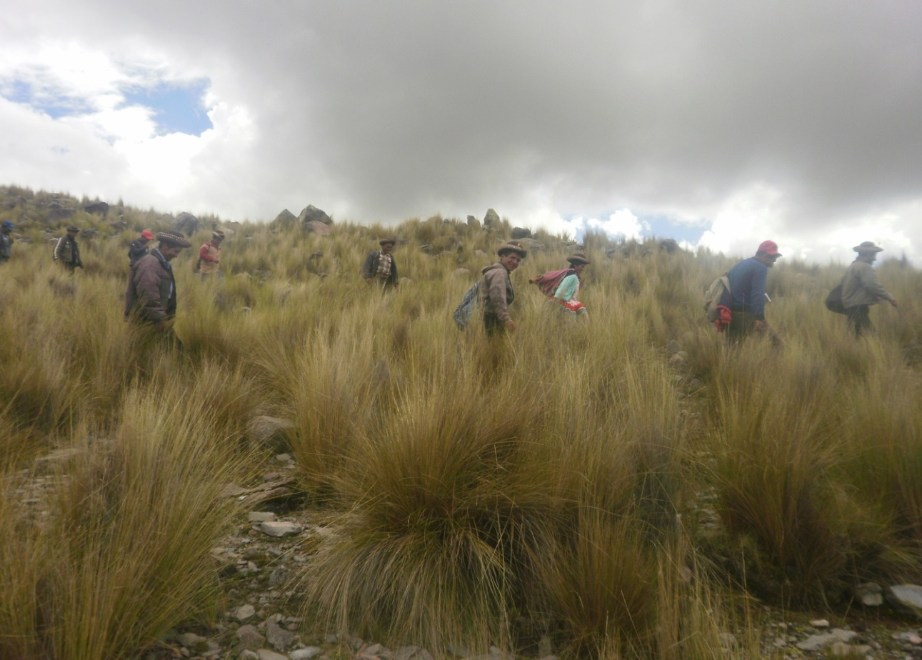 Proyecto: Agricultura sostenible para la adaptación al cambio climático en regiones vulnerables de Bolivia y Perú ECOCLIMA BOLIVIA-PERU LA 1255 / PER 1110-10 Pasantía intercomunal y externa.
