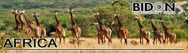 KENYA 10/14Días Sueños Africanos + Ext. Cataratas Victoria & Chobe Interesante viaje por Kenya.