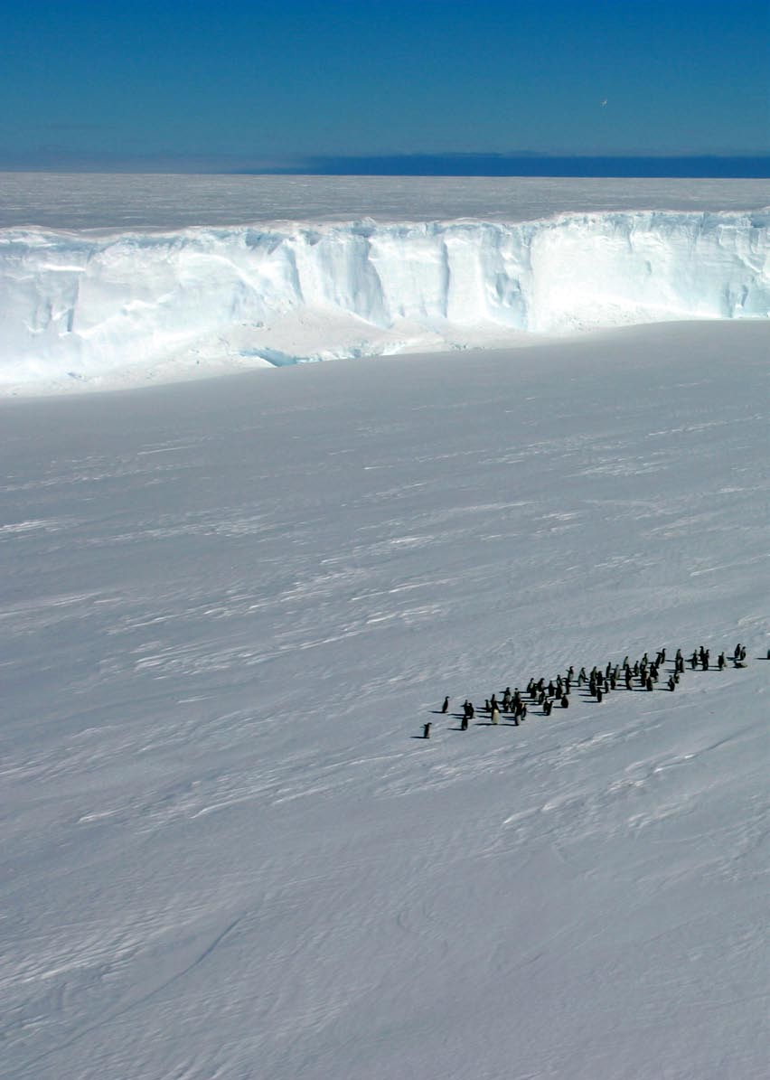 NATURALEZA ANTÁRTIDA Viaje al continente helado La Antártida es el continente más frío, más ventoso y más seco de la Tierra. La temperatura media anual en la gran meseta interior es de -50º C.