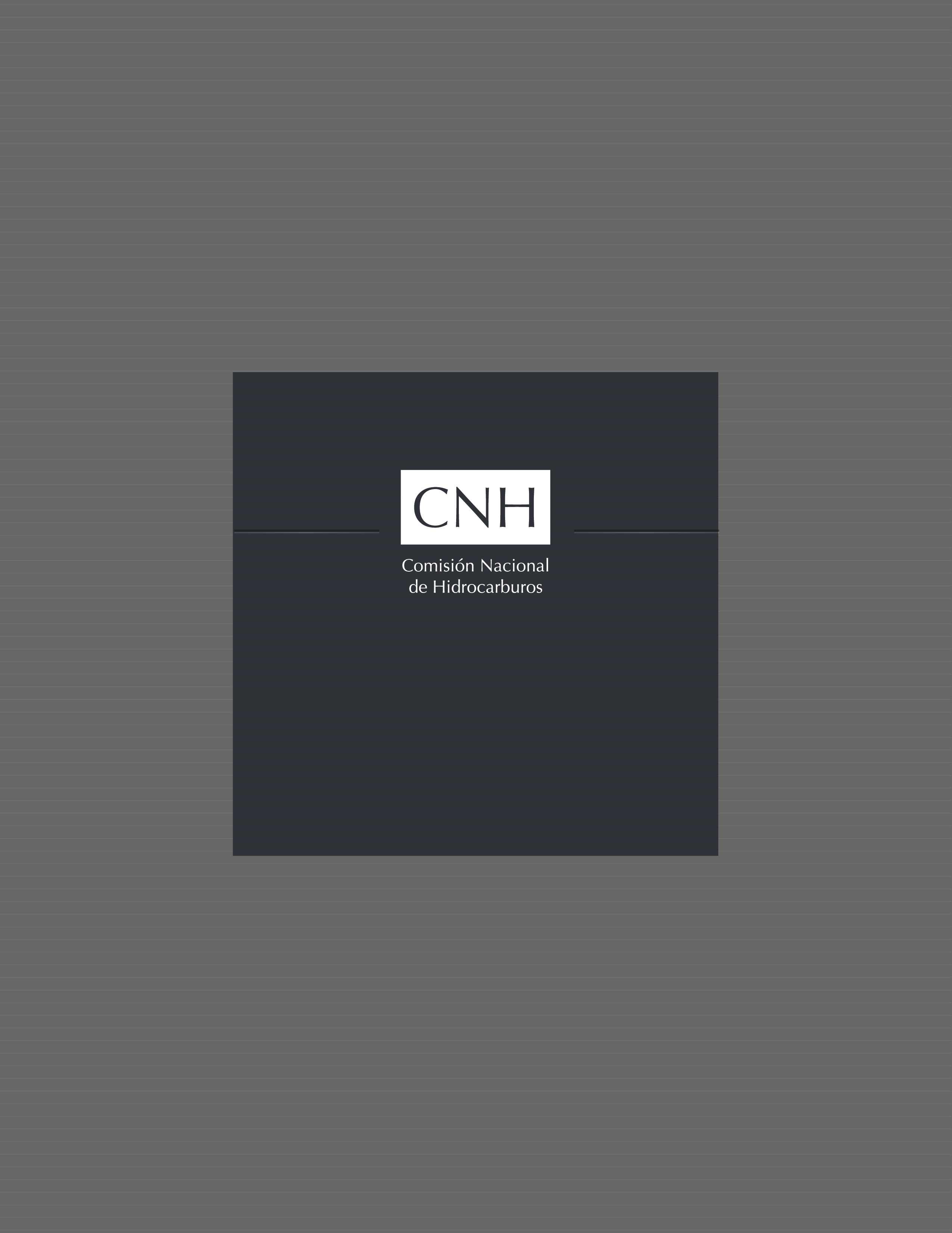 Contrato CNH-R01-L01-A7/2015 DICTAMEN (Documento Soporte de Decisión) Primer