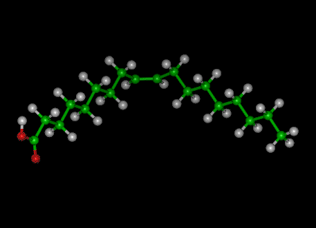 Doble enlace Carbono Oxígeno ácido Hidrógeno