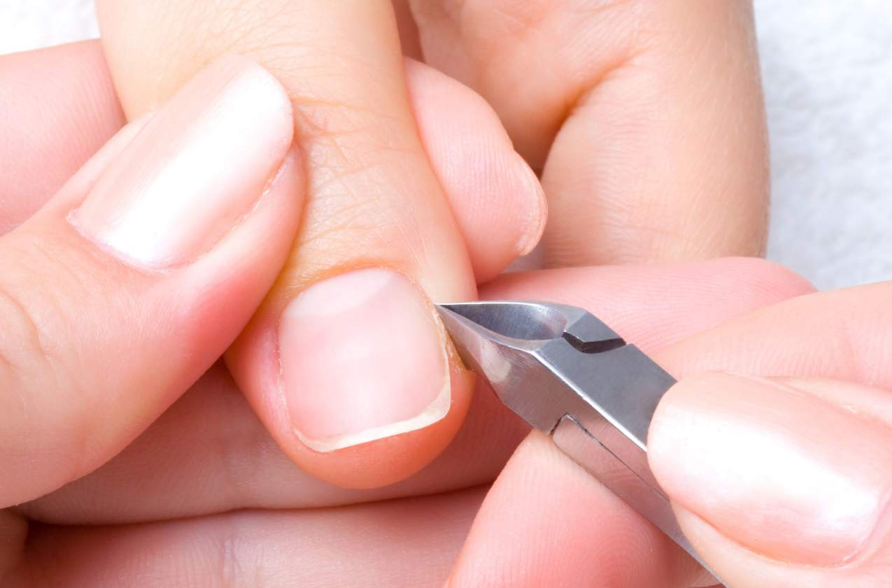 ALICATES para uñas y pieles ALICATES PARA UÑAS Y PIELES Alicates para manicuras fabricados con acero quirúrgico, para obtener una mayor durabilidad y eficacia.