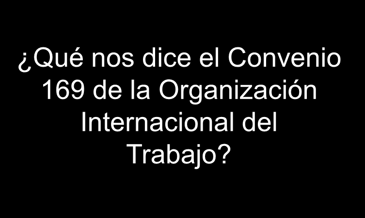 Qué nos dice el Convenio 169 de la Organización Internacional del Trabajo?