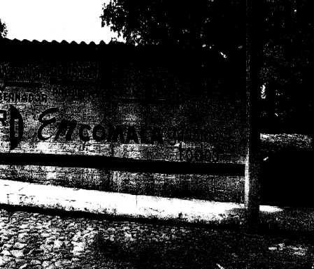 ANUNCIOS ES DETECTADOS Núm Fotografía 45 PRI 1.0*1.0 COLIMA Calle José Juan Ortega esq.