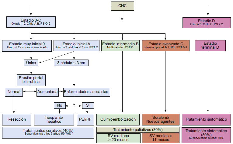 Fig 2: El sistema de clasificación de BCLC (Barcelona Clinic Liver Cancer) y la distribución de tratamiento.