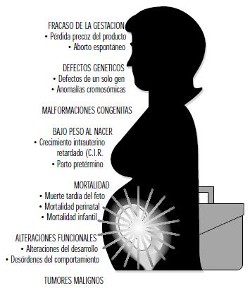 Embarazo: anomalías y alteraciones con