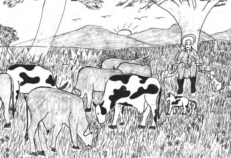 b. Engorde de ganado por pastoreo Inversión Cerco de alambre para el área de pasto y zacate Corral de madera Insumos: Novillos