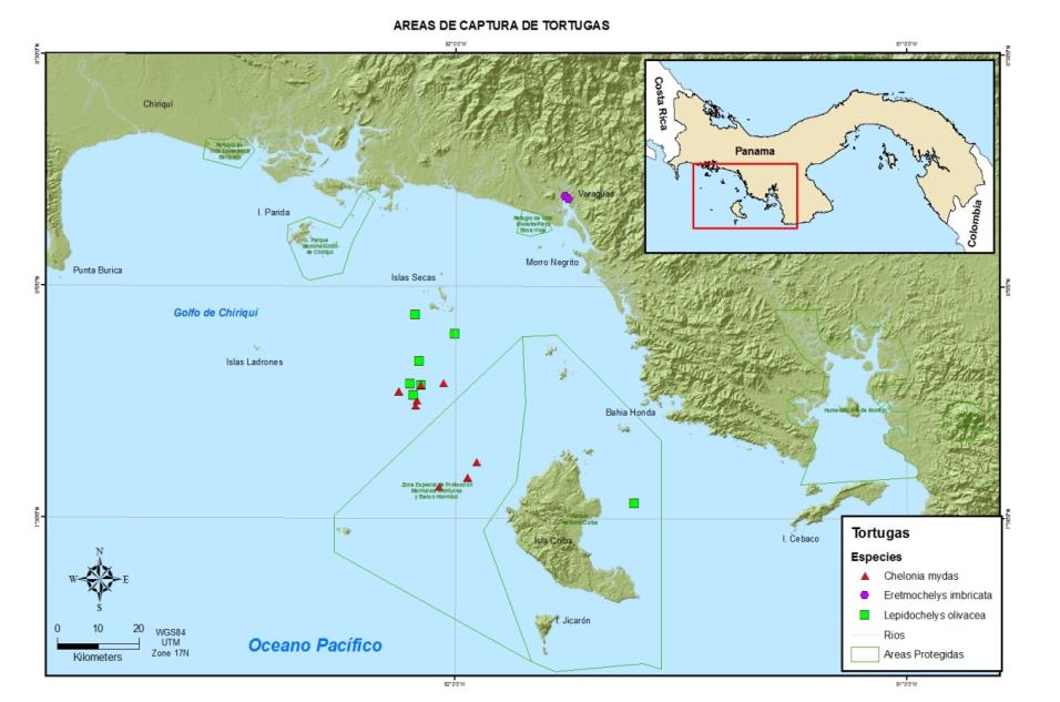 Fig. 6. Sitios donde se capturó tortugas debido a la actividad de pesca artesanal en el Golfo de Chiriquí. Muestreos Marzo de 2009-agosto de 2010.