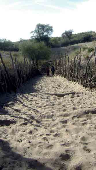 Tecnologías tradicionales de uso del agua en tierras secas de Mendoza