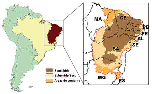 O ambiente Institucional Brasileiro e as Políticas de convivência nas terras secas. Instrumentos Legais de Combate à Desertificação.