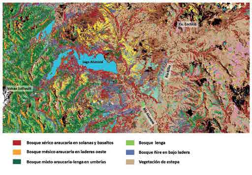 Hiatos de regeneración del bosque de Araucaria araucana en Patagonia: vinculaciones al uso de tierras y desertificación regional. Figura 3.