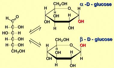 LAS BIOMOLECULAS SON: Hidratos de carbono ó azúcares Proteínas Lípidos (aceites y grasas) Acidos nucleicos (ADN y ARN) La química de los organismos vivos es la química de los compuestos que poseen