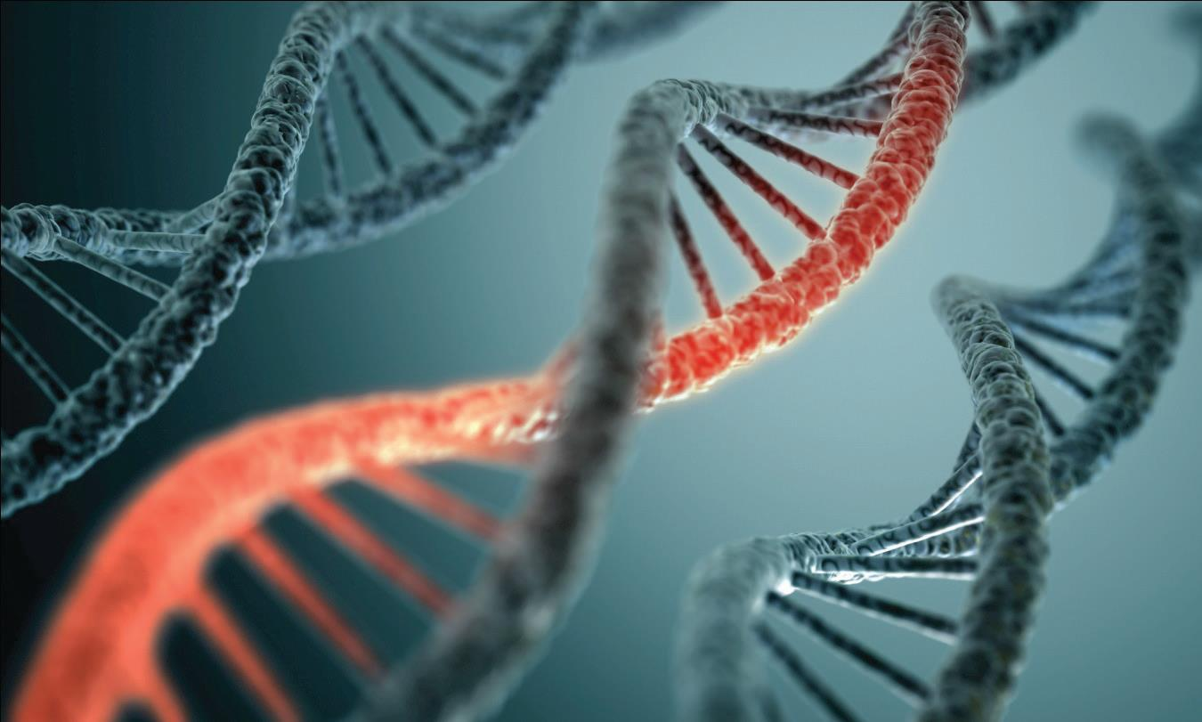 ESTUDIOS MOLECULARES GENOS MÉDICA cuenta con un amplio catálogo de estudios diagnósticos moleculares, para búsqueda de mutaciones genéticas.