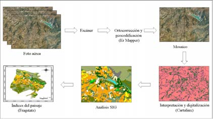 2- Determinación de los usos del suelo Los mapas de usos del suelo se han obtenido de la digitalización y georeferenciación de fotogramas aéreos (escala 1:5000) del Instituto Cartográfico Valenciano