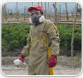 Equipos de Protección Individual Los manipulador de productos fitosanitarios deben emplear el equipo
