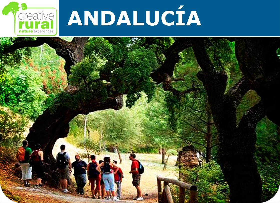 VIAJE A ANDALUCÍA. EN GRUPO. AVENTURA Viaje a Andalucía. Paisajes llenos de luz, naturaleza y aventura en uno de los rincones mejor conservados y desconocidos de Andalucía.