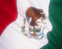 Introducción En México, el derecho procesal contempla una doble visión, por un lado se refiere a la parte orgánica, esto quiere decir, las funciones que