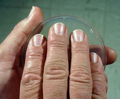 Remoción de bacterias de las manos y guantes: