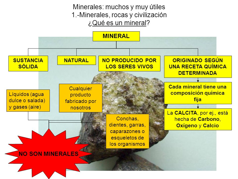 Importancia de los minerales Los seres humanos necesitan utilizar para su supervivencia muchos productos de origen animal: huevos, leche, carne, cuero, pieles, aceite, etc.