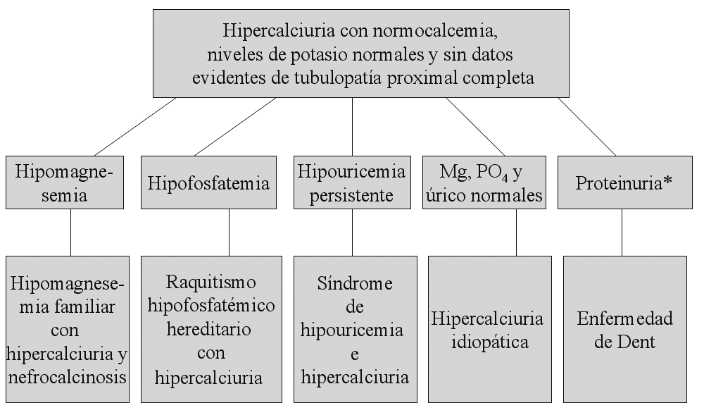 Hipercalciuria idiopática 184 Algoritmo 1. * Glucosuria, hipouricemia, hiperaminoaciduria, hipofosfatemia ** S. de Williams, intox.
