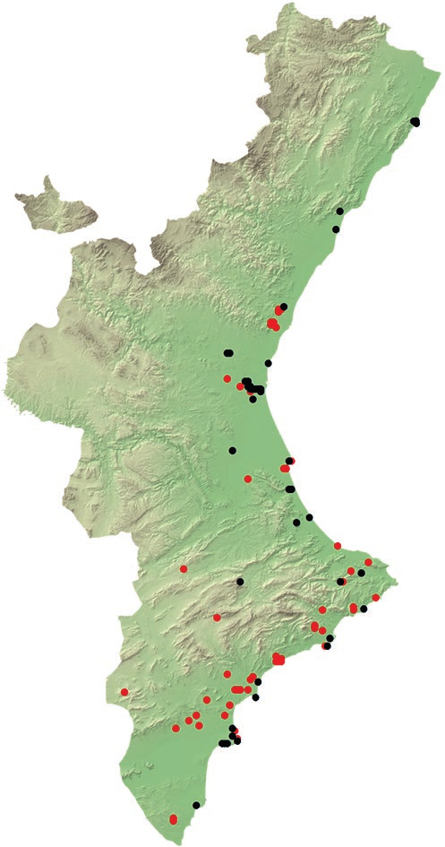 Figura 5. Estado de las poblaciones de Pennisetum setaceum en la Comunitat Valenciana a final de 2014 (izquierda) y 2015 (derecha). En negro: poblaciones erradicadas o sometidas a control.