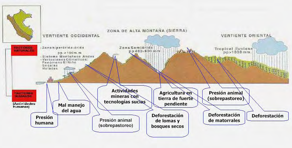 FACTORES QUE CONTRIBUYEN LA DESERTIFICACION EN EL PERÚ Fuente: Cabrera F Manuel, Implementación de la UNCCD