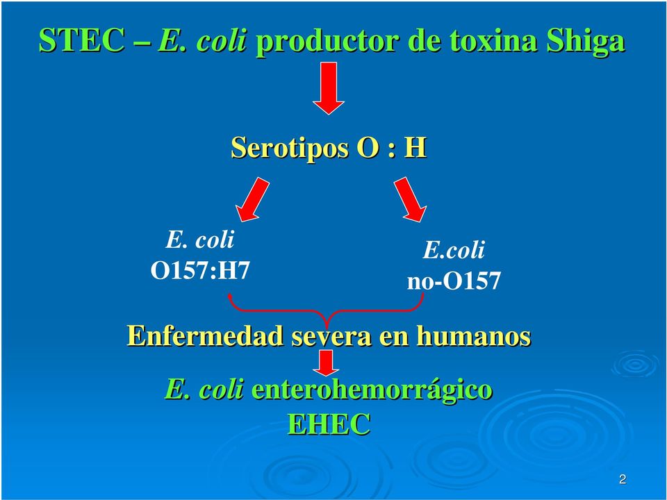 Serotipos O : H E. coli O157:H7 E.