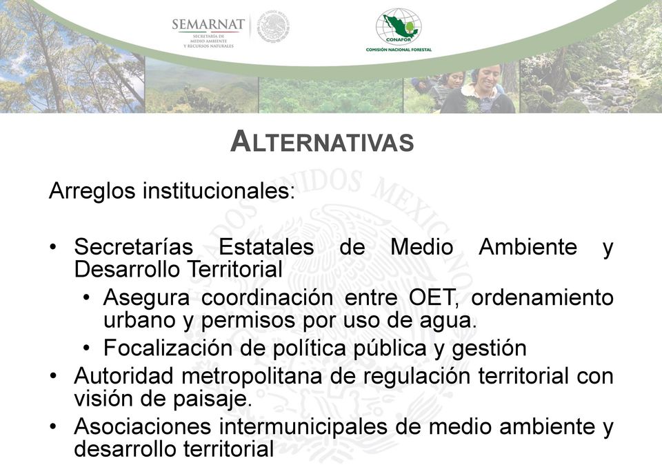 Focalización de política pública y gestión Autoridad metropolitana de regulación territorial