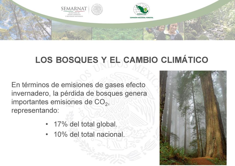 de bosques genera importantes emisiones de CO 2,
