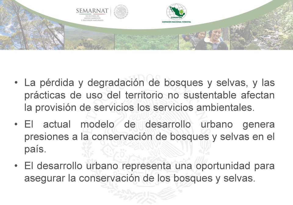 El actual modelo de desarrollo urbano genera presiones a la conservación de bosques y
