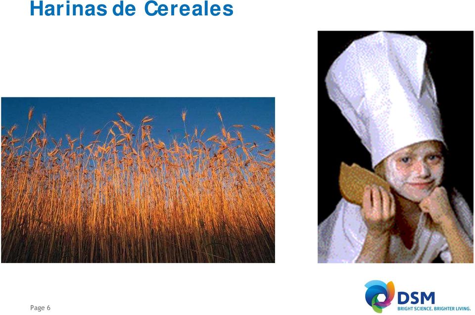 Cereales