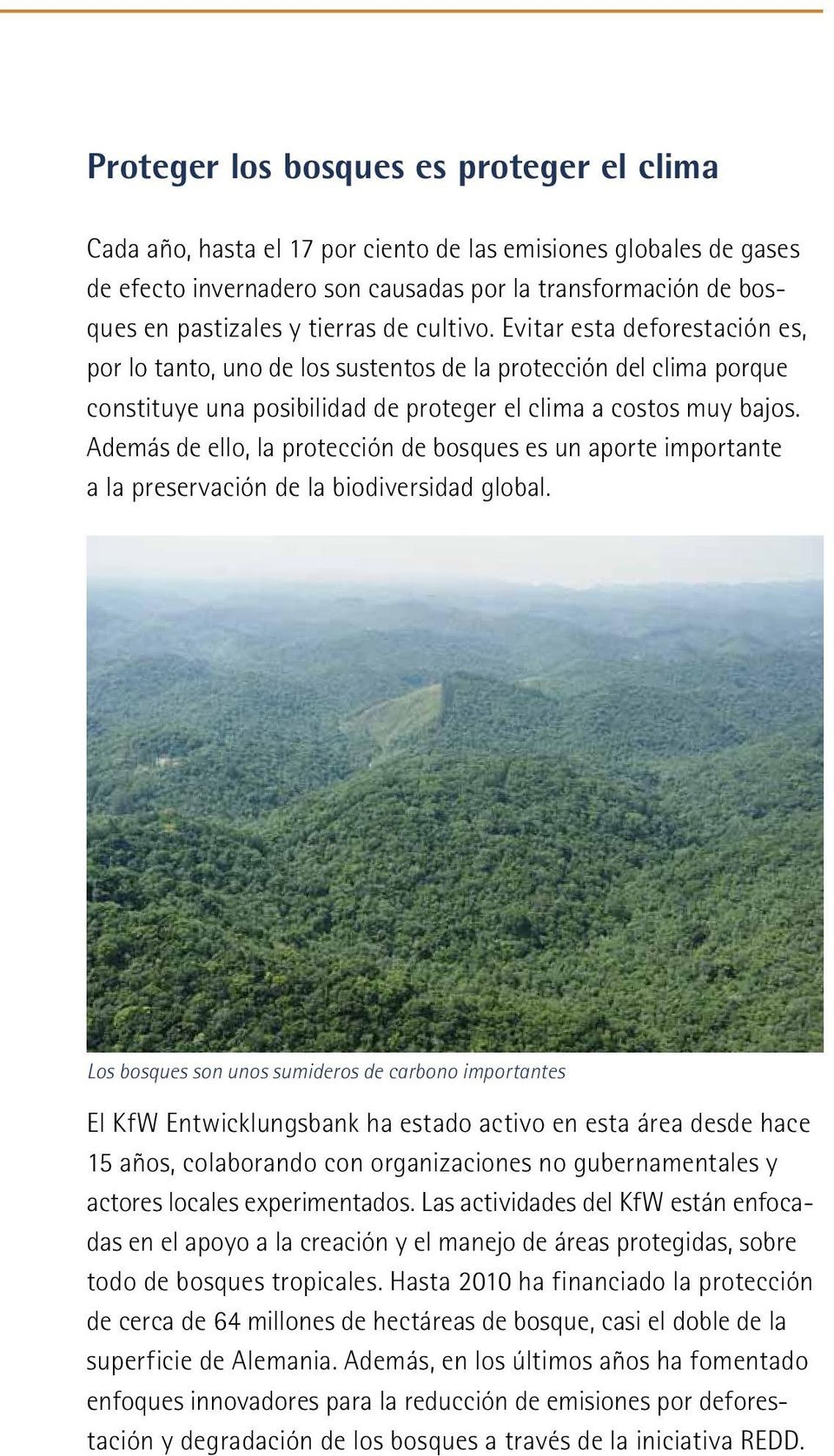 Además de ello, la protección de bosques es un aporte importante a la preservación de la biodiversidad global.