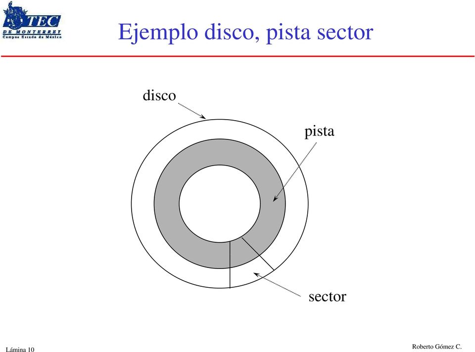 sector disco