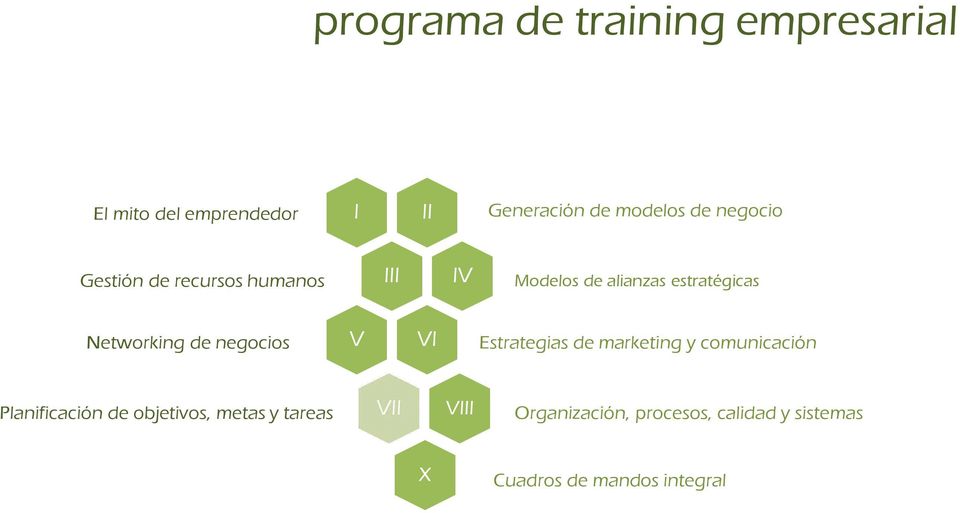 estratégicas Networking de negocios V VI Estrategias de marketing y comunicación