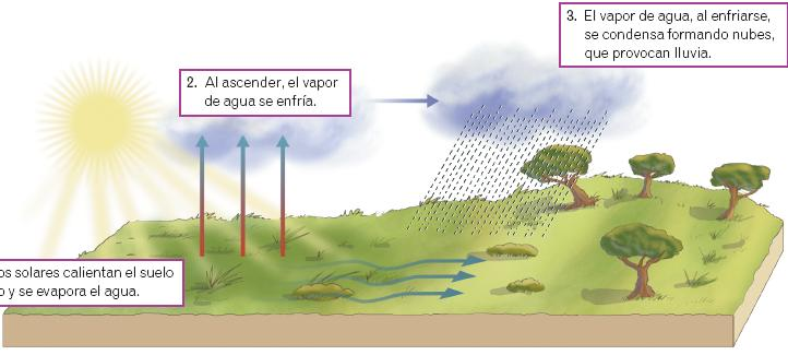 Factores de las precipitaciones. Latitud En las áreas próximas al Ecuador llueve más que en las áreas templadas o polares 2. Cuando el vapor de agua asciende se enfría 3.