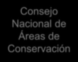 1.A Arreglos nacionales para REDD+: Mecanismos existentes (Marco legal) Consejo Nacional COMITÉ de EJECUTIVO Áreas de Conservación PARTES INTERESADAS Oficina Nacional Forestal Junta Directiva