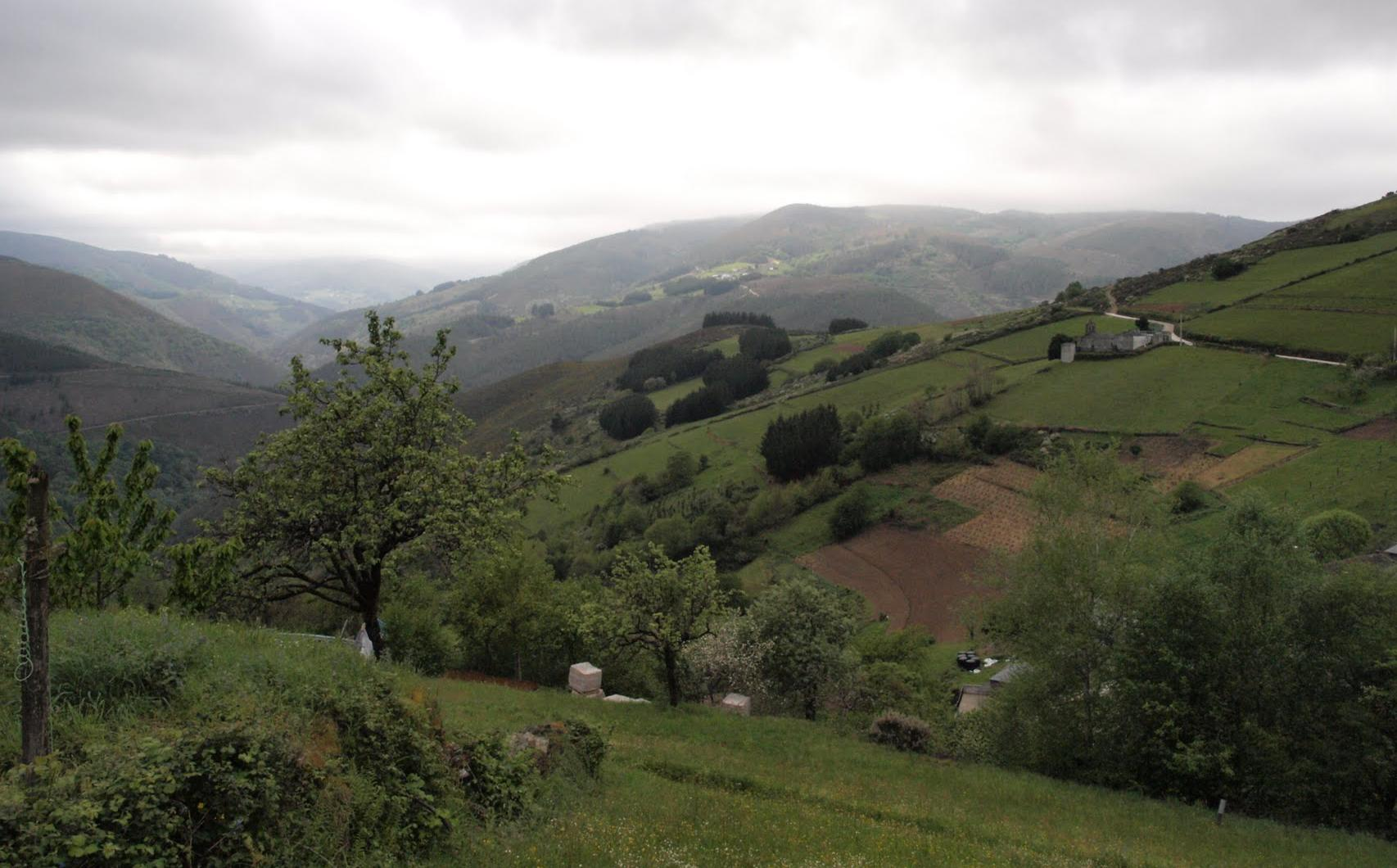 Paisaje en el Ordovícico de Sena. Asturias.