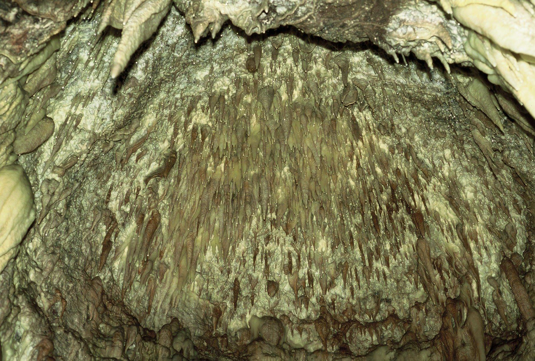 Estalactitas en Cueva en Aller, Asturias.
