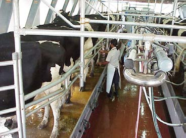 La industria lechera es uno de los sectores que necesitará mayor atención en Colombia.