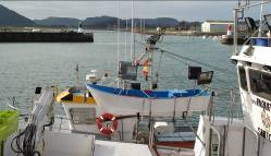 Las medidas relativas a la renovación y modernización de la flota pesquera suman un total de 78 acciones en el municipio de Santoña.