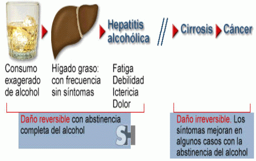 obtienen por el consumo de alcohol son aproximadamente 7kcal/g. Además es un potente diurético, que potencia la deshidratación corporal. (20) Fig 3: Consecuencias metabólicas del consumo de alcohol.