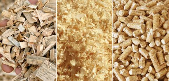 La composición química y el contenido de humedad de las biomasas es