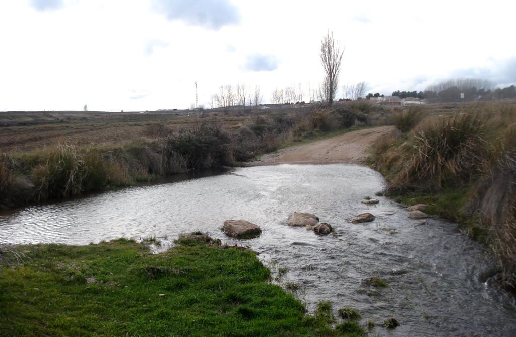 Río Querola, San Pedro, Albacete.