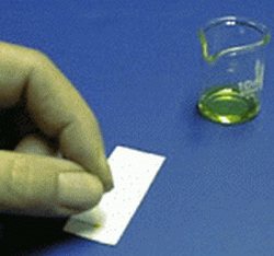 Con la ayuda de una micro pipeta colocar la muestra en un extremo (aceite disuelto en cloroformo) y el estándar (ácido esteárico disuelto en cloroformo) en la línea de origen el sembrado se hace gota