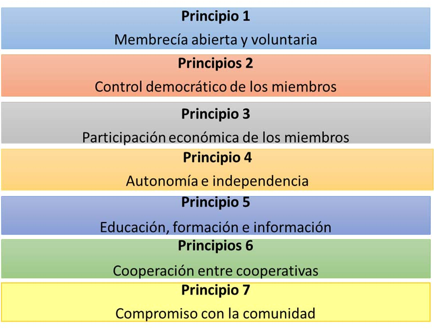 Estructura del modelo Principios cooperativos 2 dimensiones basados