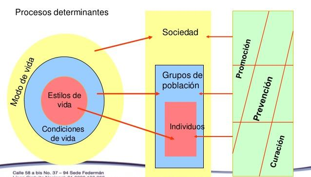Pedro Luis Castellanos 1991, establece como se produce la interacción entre los determinantes de salud con la categoría condiciones de vida, que serían los procesos generales de reproducción de la