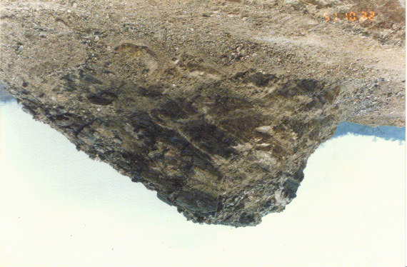cuarzo, en matriz afanítica gris - blanquecina.