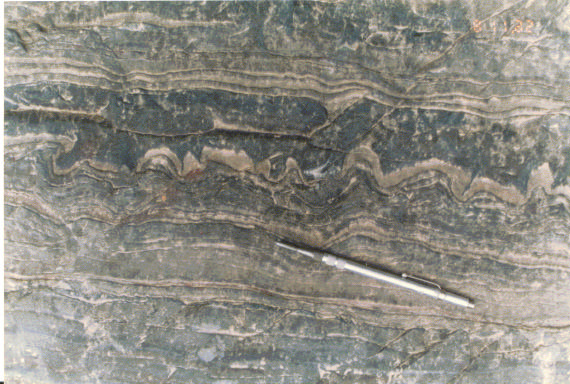 Foto 9.- Micro slumps en calizas de la Formación La Bocana medio, estructura característica de una cuenca subsidente, afloran en el curso medio de la quebrada Carrizalillo.