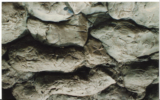 Foto 14- Lavas andesíticas con estructura almohadillada de la Formación Lancones, afloran