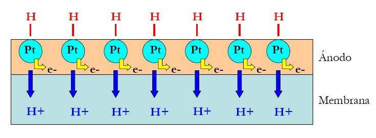 H + 2Pt 2Pt - H 2Pt - H Pt + 2H + + 2e - Este proceso de entrada en contacto del hidrogeno con el platino recibe el nombre de adsorción, y esta representado de forma esquemática en la Figura 17.